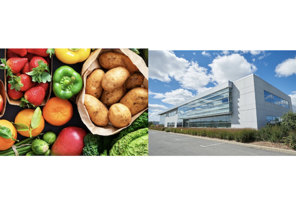 Courchesne Larose Group and VegPak join forces The Grower